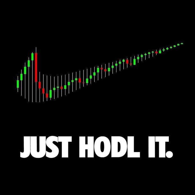 Just HODL it nike style sign
